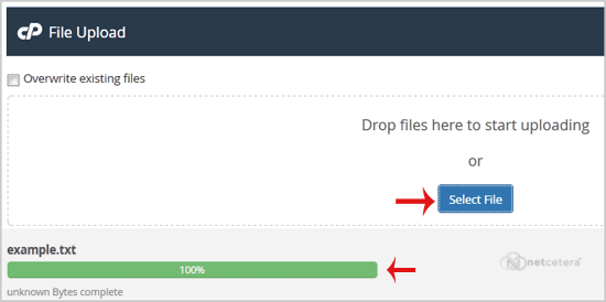 brows-filemanager.gif