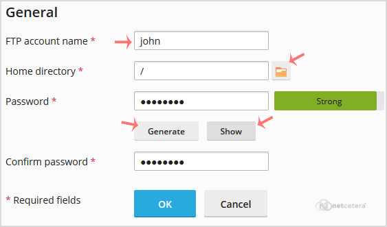 plesk-create-ftp-account-options.gif